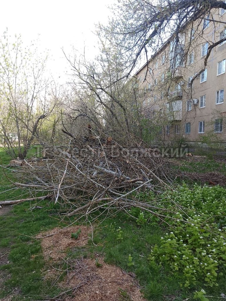 Гора сухостоя под окнами: на Машиностроителей, 11 бросили неубранные ветки