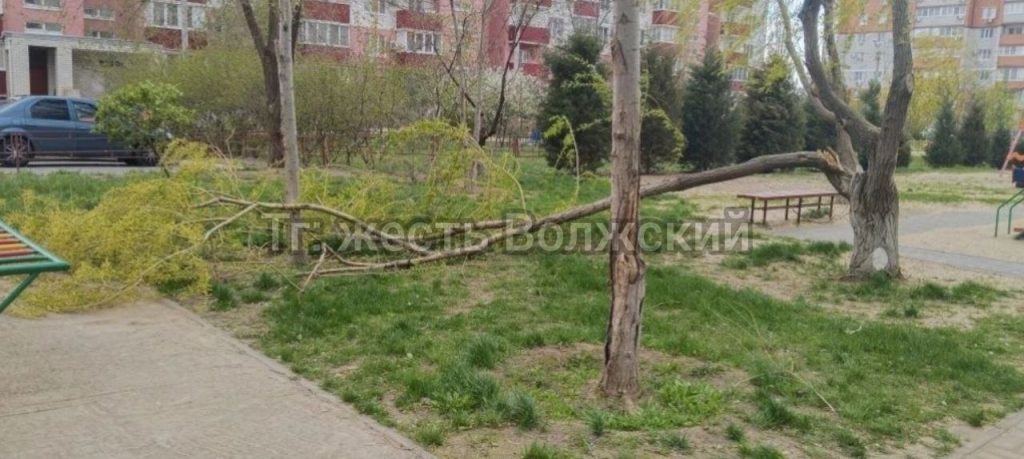 В 14-м микрорайоне Волжского на детской площадке упало дерево