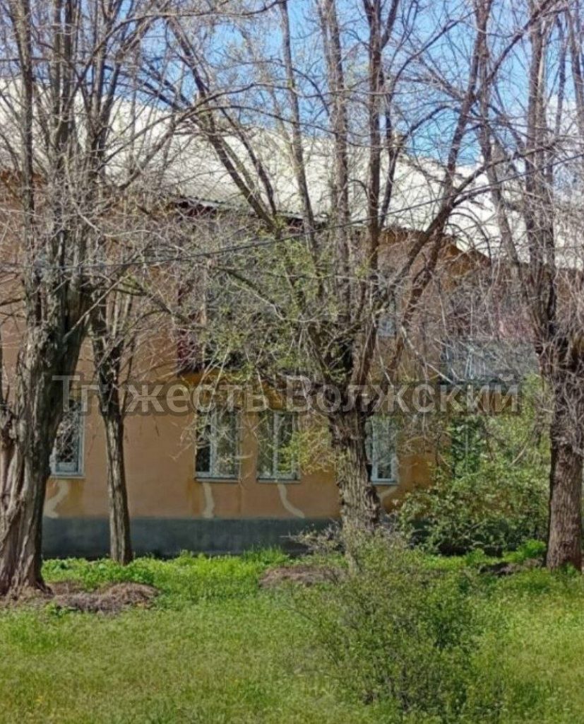 Сухие деревья у детской поликлиники в Волжском требуют спила