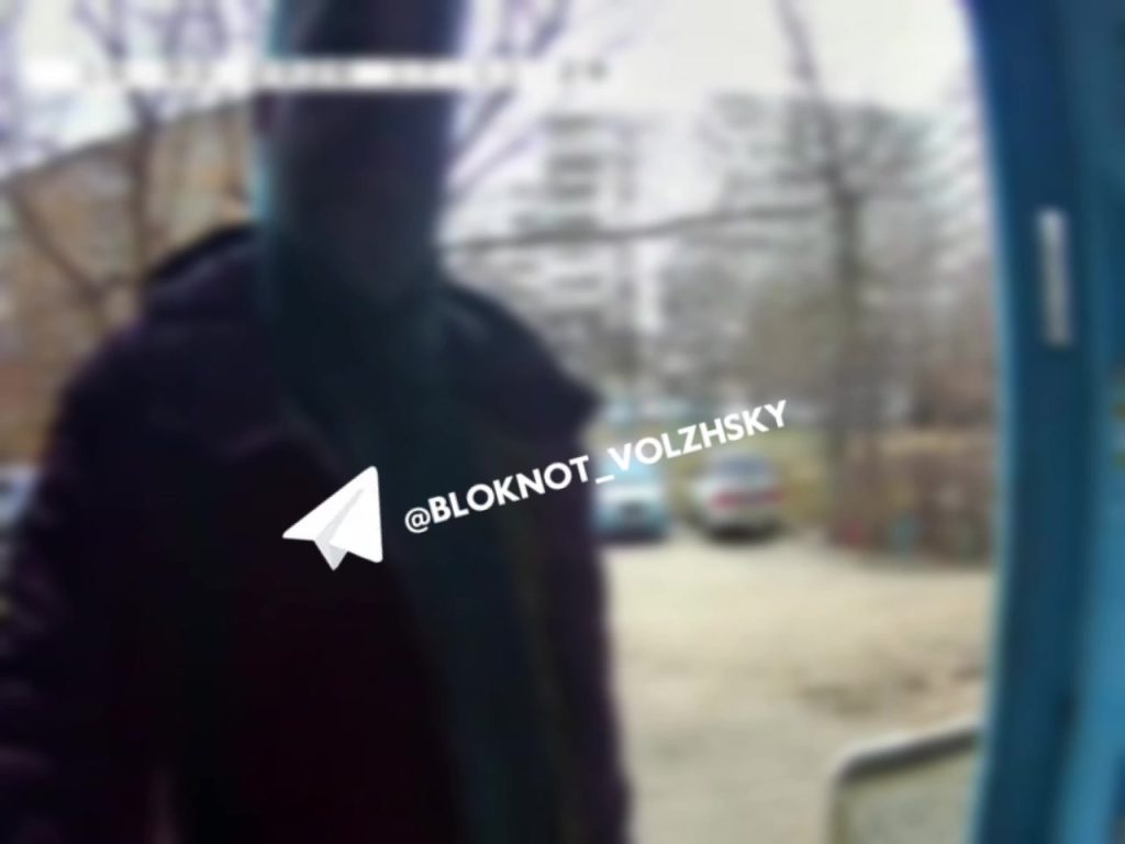На улице Пушкина в Волжском собаки без намордников напали на йоркширского терьера