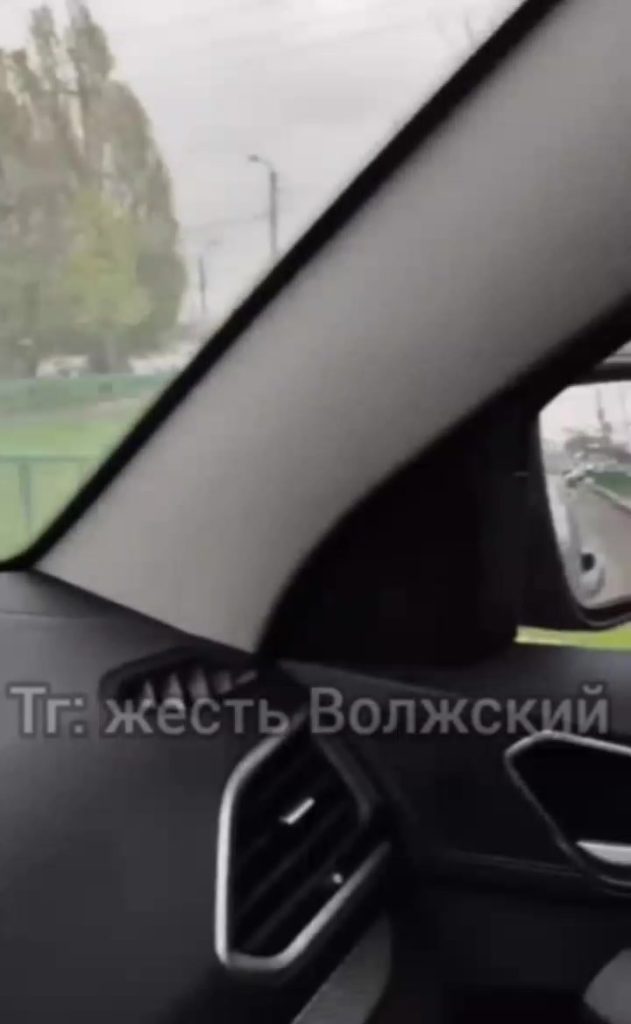 Белка на дороге: необычный пешеход в Волжском создал ажиотаж