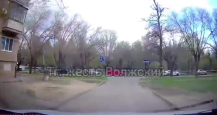 На улице Пионерской в Волжском дерево рухнуло на проезжую часть, едва не спровоцировав ДТП