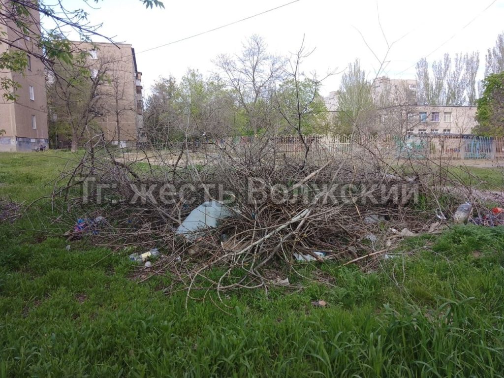На Машиностроителей год не могут вывезти ветки: свалка растет рядом с детским садом