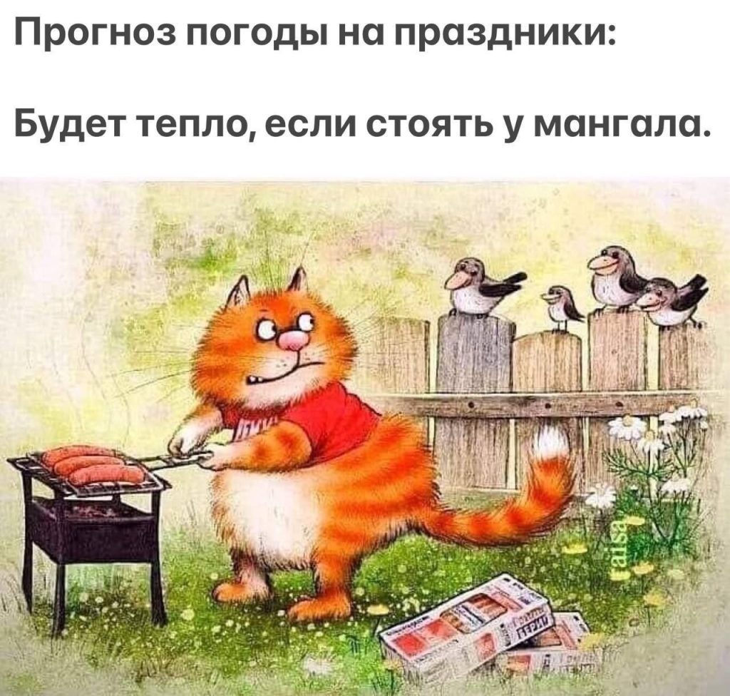 В Волжском назвали места, где категорически запрещено жарить шашлыки