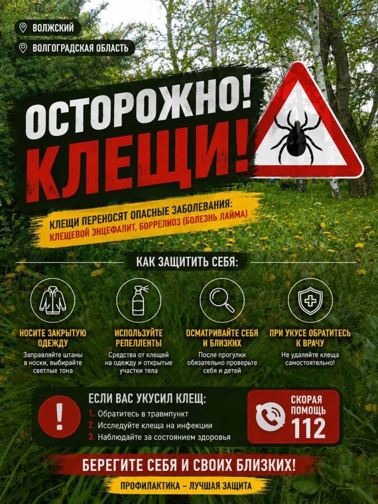 В регионе резко выросло число укусов клещей: 119 пострадавших с начала года