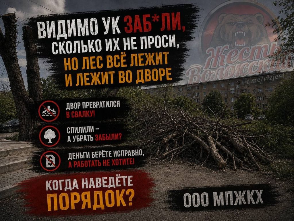 Жители дома на Мира, 42а требуют убрать спиленные деревья