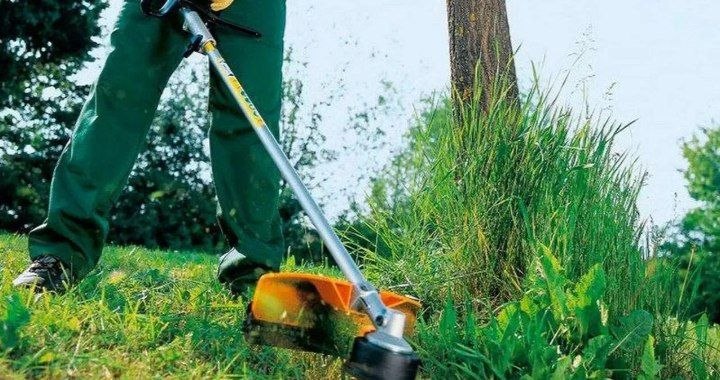 В парке «Новый город» выкосят траву за 176 тысяч рублей