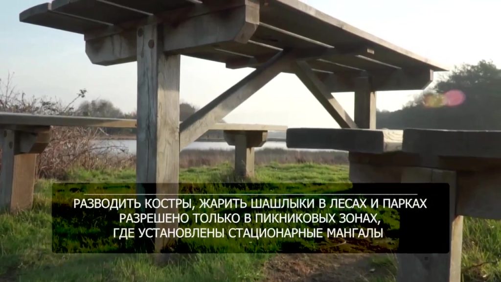Как правильно жарить шашлыки: советы МЧС по безопасности