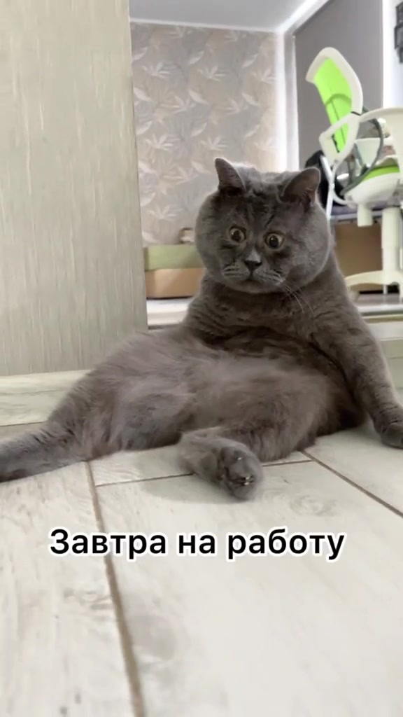 Вечерняя атмосфера Волжского: время для отдыха и новых планов