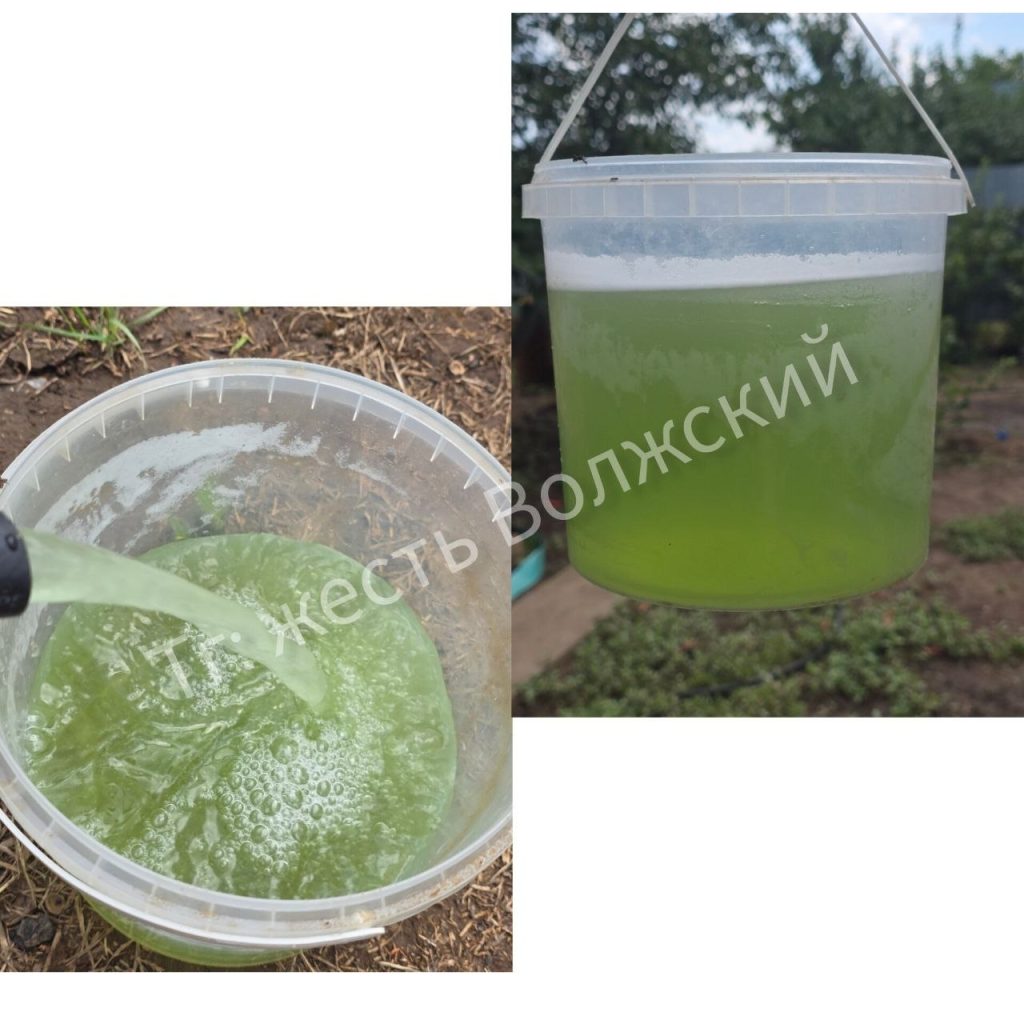Зелёная жижа из кранов: коммунальное ЧП в СНТ «Цветущий Сад»
