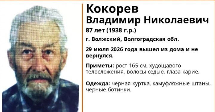 В Волжском пропал 87-летний Владимир Кокорев