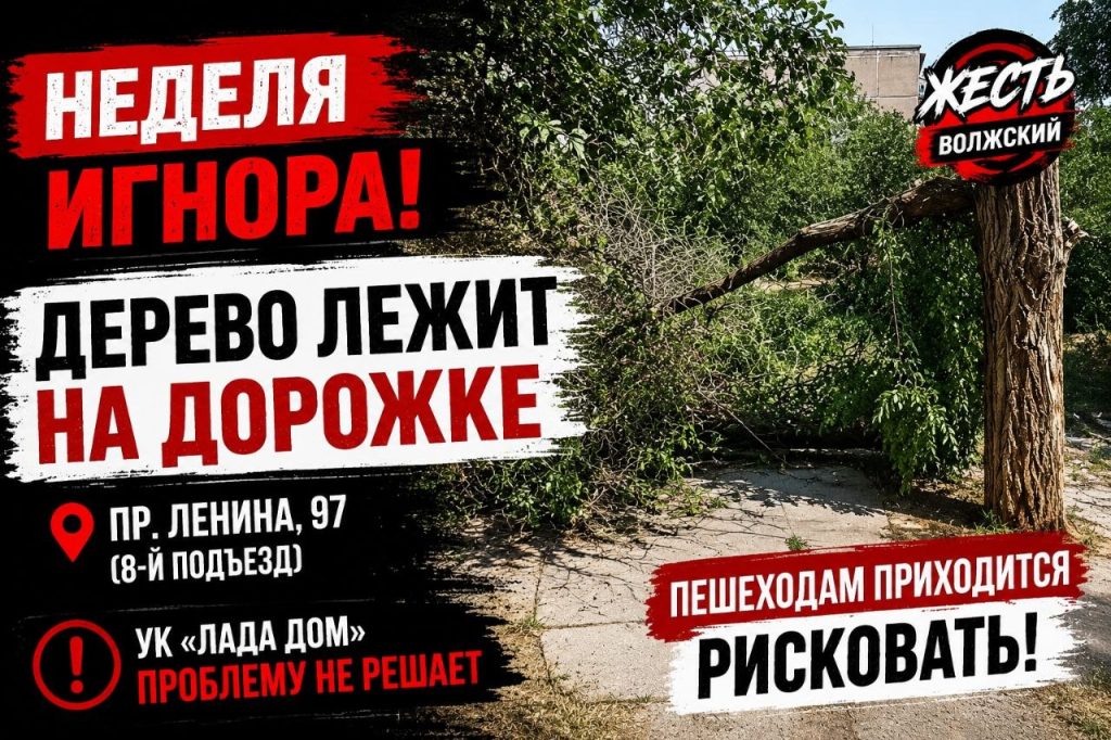 Упавшее дерево неделю перекрывает пешеходную дорожку на проспекте Ленина