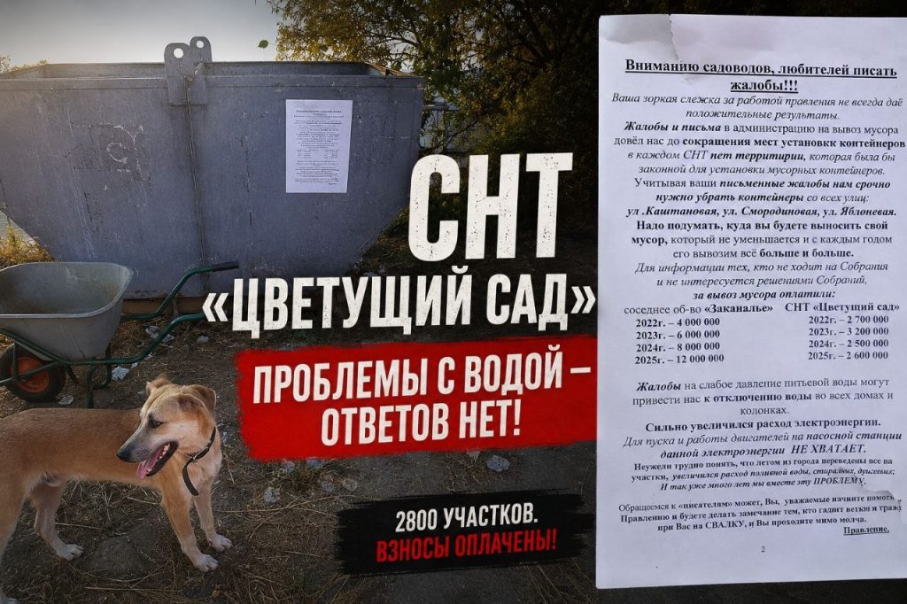 Жители СНТ «Цветущий сад» жалуются на запах воды и давление со стороны правления