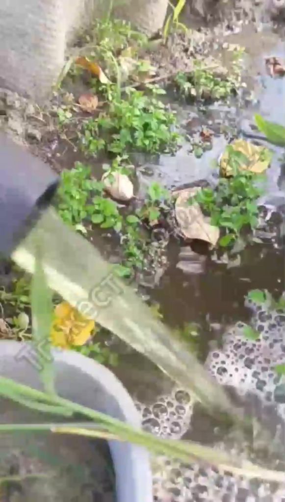 «Прямой путь в инфекционку»: вода в СНТ «Цветущий Сад» напугала дачников
