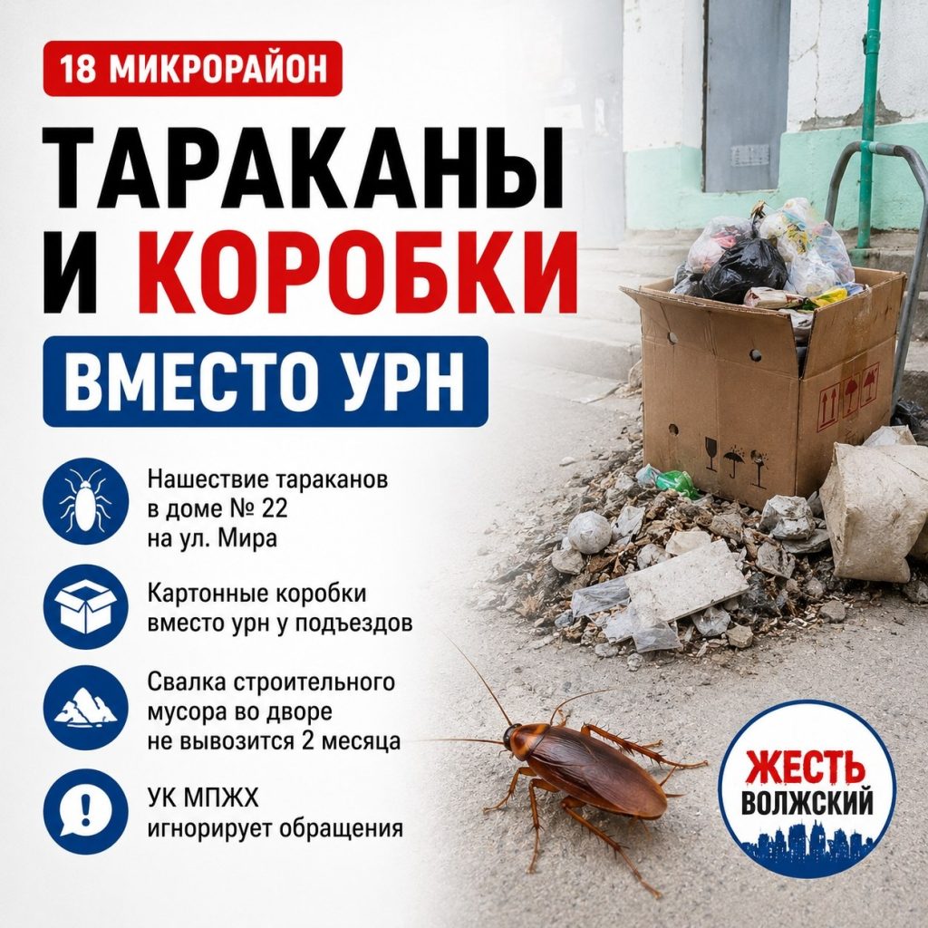 Жители дома №22 на улице Мира бьют тревогу из-за нашествия тараканов