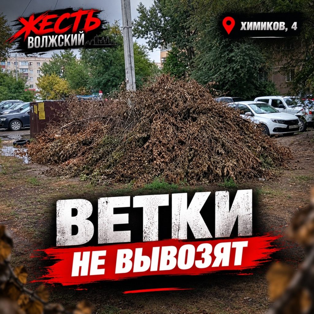 Огромная куча веток у контейнеров возмутила жителей Волжского