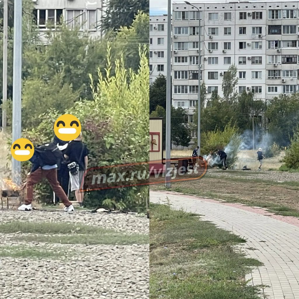 В парке «Солнечный» школьники поджигали сухую траву