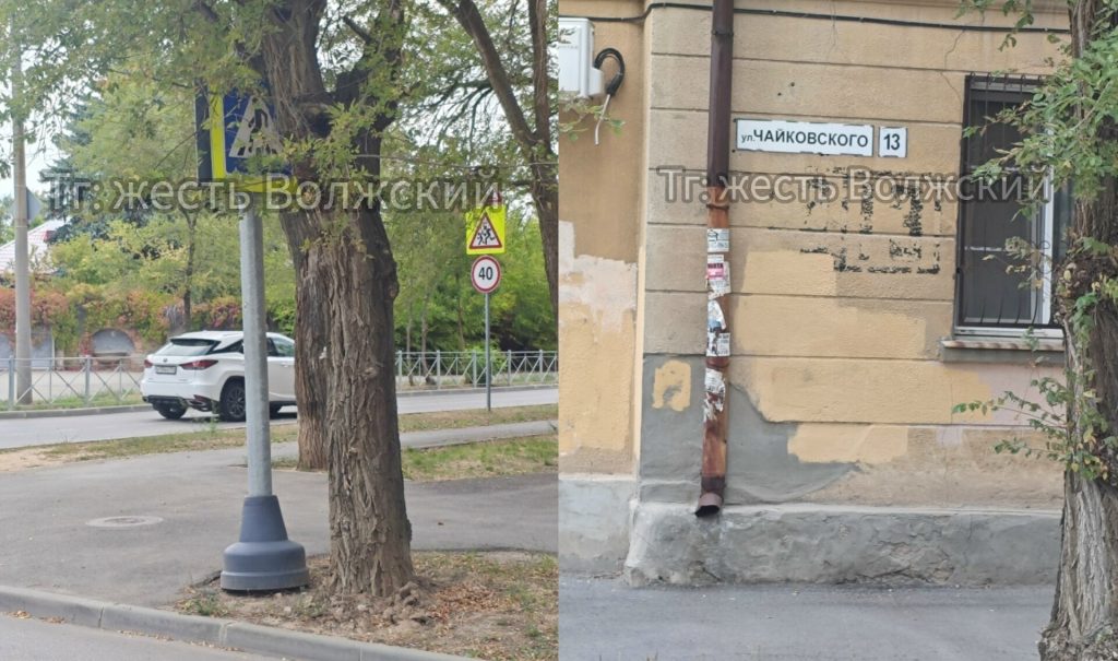 В Волжском знак «Пешеходный переход» спрятали за стволом вяза на улице Чайковского