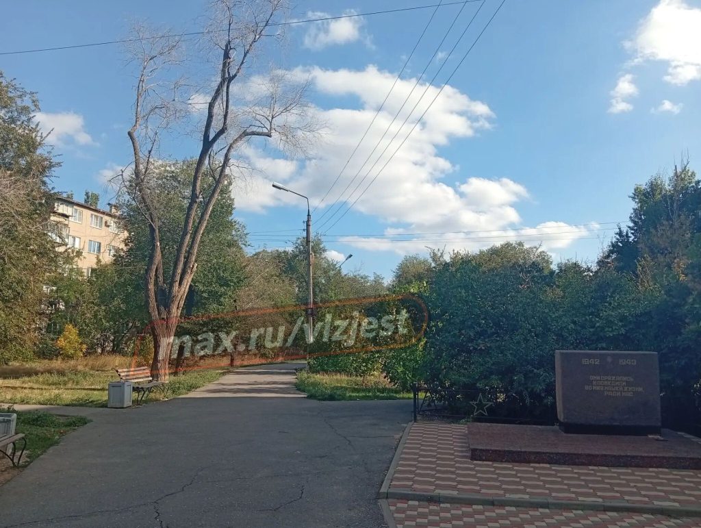 Волжане бьют тревогу: сквер у мемориала в 9-м микрорайоне утопает в мусоре и сухостое