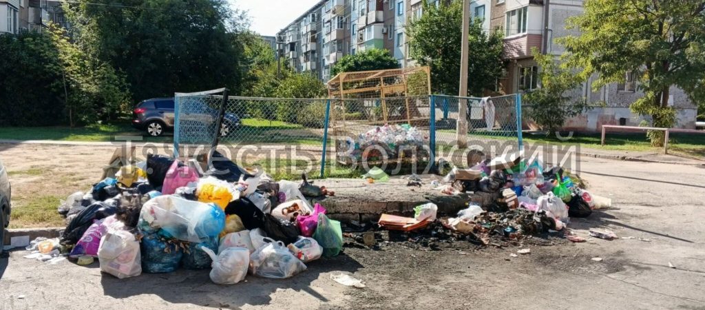В Волжском на Мира, 98 тестируют «невидимые» контейнеры для мусора