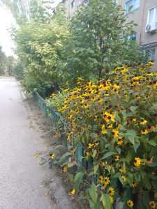 В Волгоградской области ожидается до +30°C, но к пятнице придут дожди и похолодание
