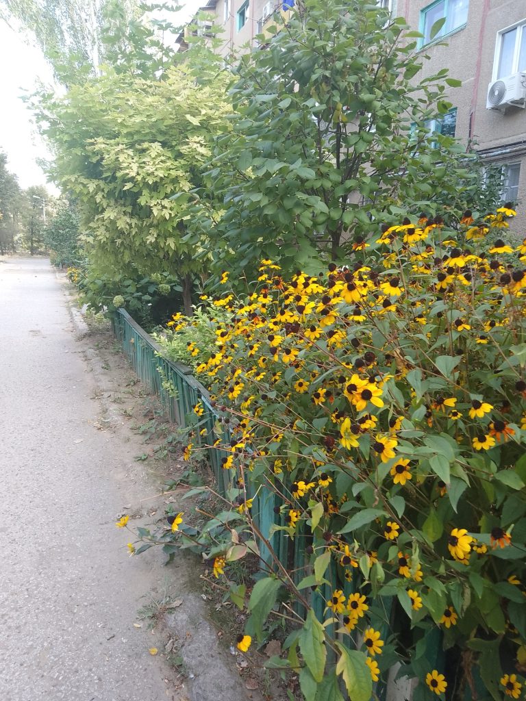 В Волгоградской области ожидается до +30°C, но к пятнице придут дожди и похолодание