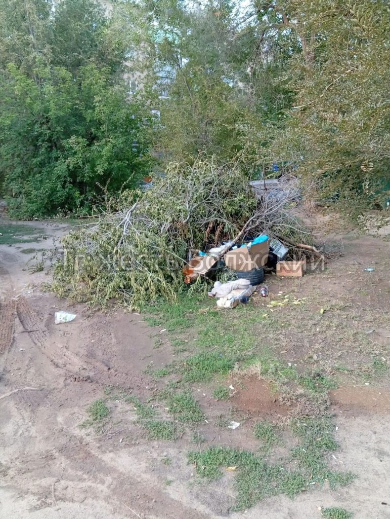 Жители Волжского превратили кучу веток в мусорную свалку на улице Химиков