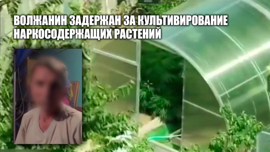 Более трёх килограммов марихуаны изъяли у жителя Волжского