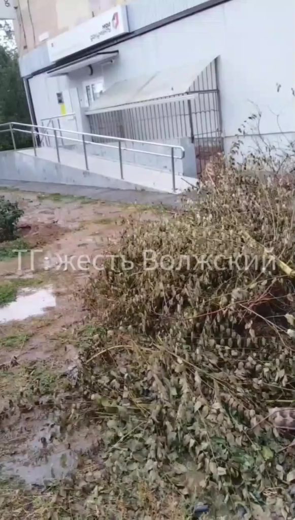 Во дворе на Оломоуцкой спилили деревья, но не вывезли: жители требуют уборки