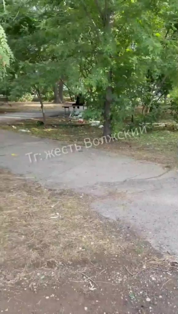 Жители Волжского возмущены свалкой и пьяными компаниями в сквере за «Домом Трои»