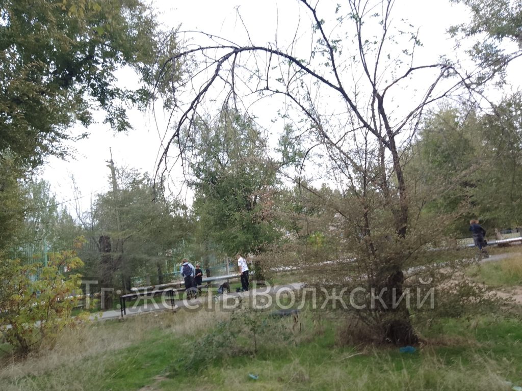 В Волжском дети подожгли мусор рядом со школой №24