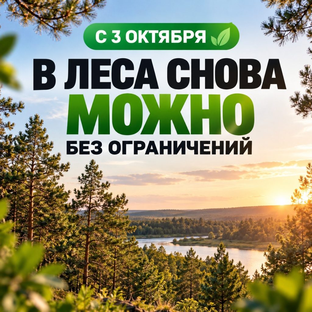 В Волгоградской области с 3 октября вновь открыли леса для посещения