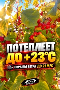 Волжский ожидает потепление до +23°C, но с сильным ветром
