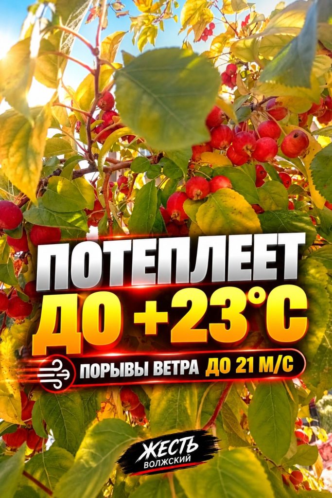 Волжский ожидает потепление до +23°C, но с сильным ветром