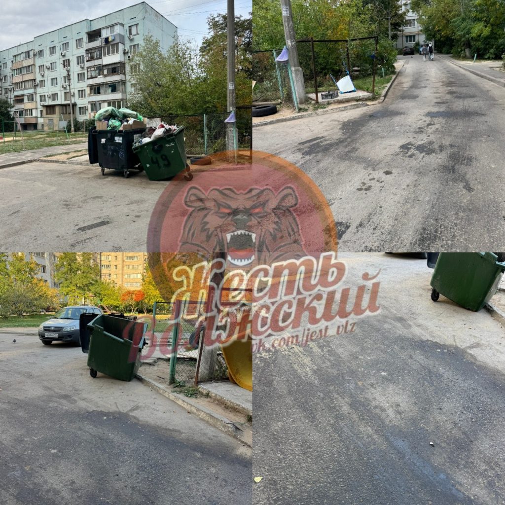 Жители улицы Дружбы в Волжском жалуются на грязь и запах у мусорной площадки
