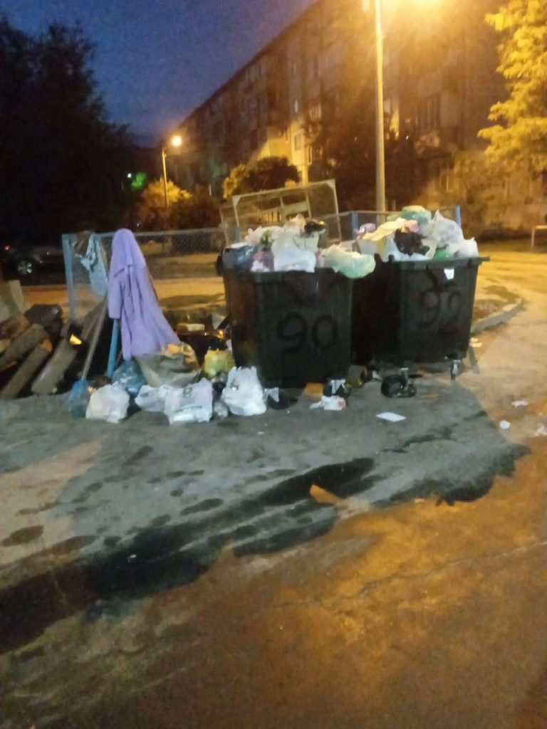 Жители улицы Мира требуют решить проблему с мусором: два контейнера на несколько домов