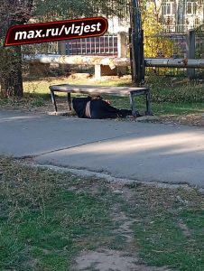 Жители 9-го микрорайона показали, как выглядит конец тяжелой недели
