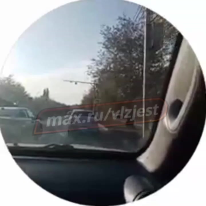 На улице Карбышева водители объезжают пробку по пешеходному переходу