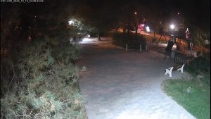 В Волжском неизвестная похитила детские качели из сквера на Пионерской