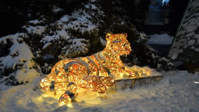 Волжский преображается: новогоднее оформление с элементами дополненной реальности