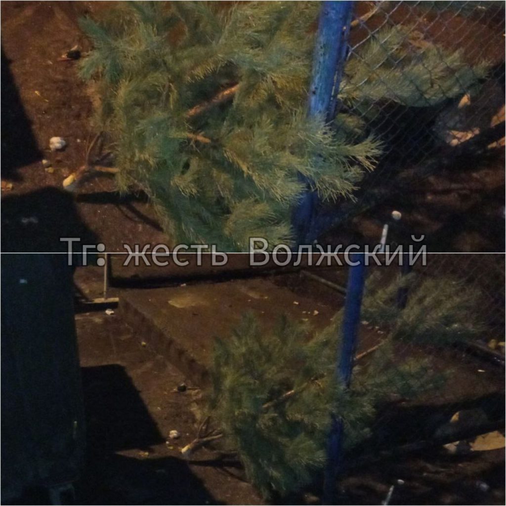 Новогодние ёлки в Волжском отправились на утилизацию уже в январе