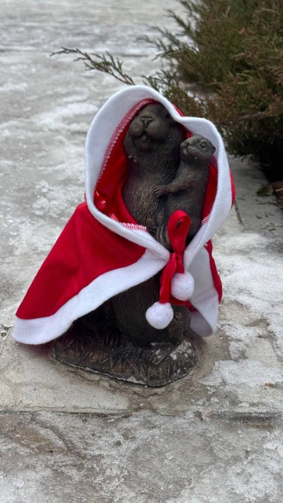 Волжские суслики примерили новогодние наряды