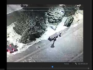 В Волжском зафиксировали акт вандализма: неизвестный ударил скульптуру суслика