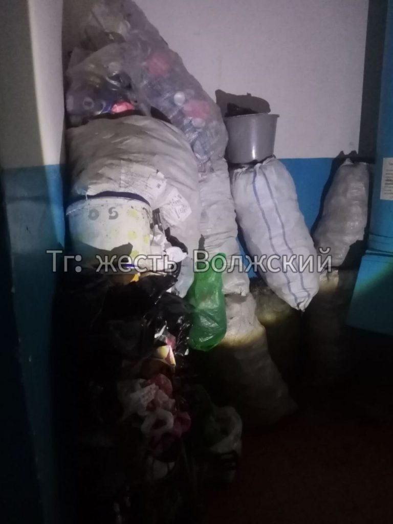 Жильцы дома на Александрова задыхаются от вони и мошек из-за соседа