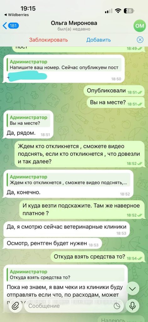 В Волжском зафиксирована попытка мошенничества под видом спасения животного
