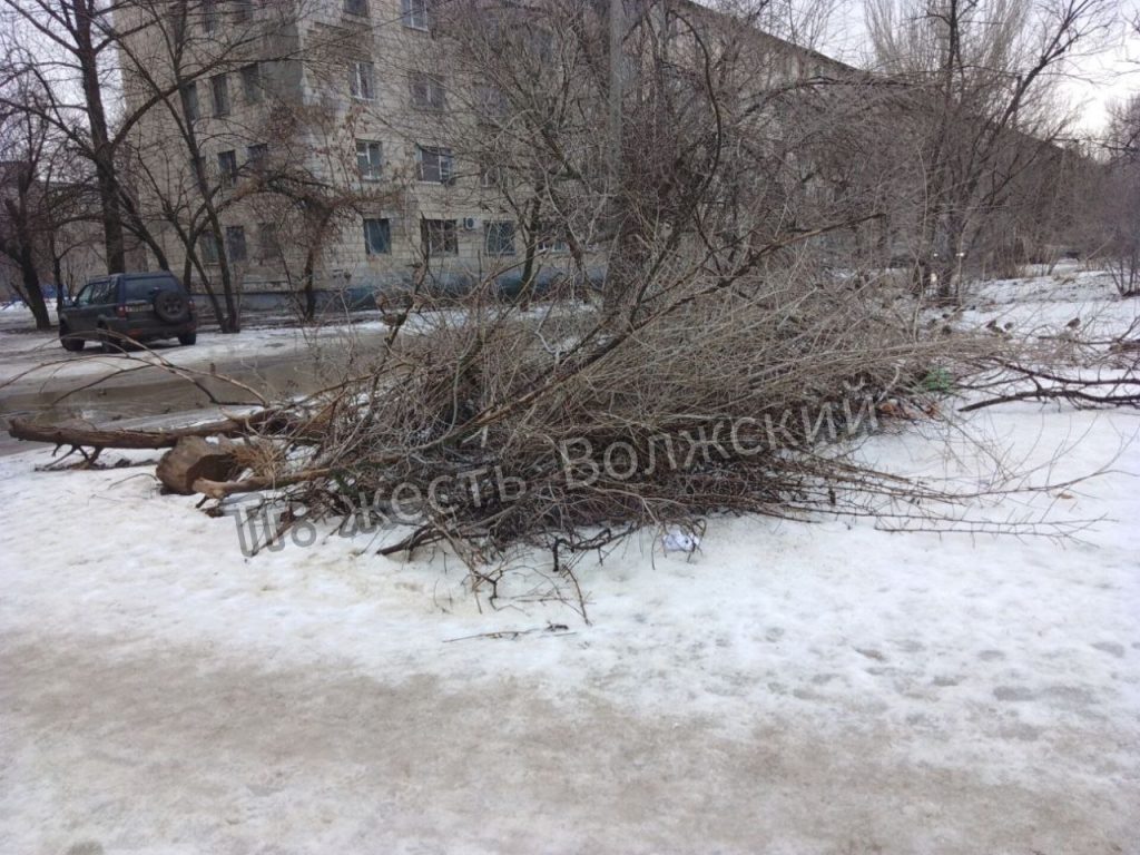 Двор дома №23 в Волжском превратился в свалку спиленных веток