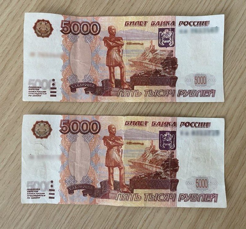 В Волжском задержан молодой человек за сбыт фальшивых купюр через несовершеннолетнего брата