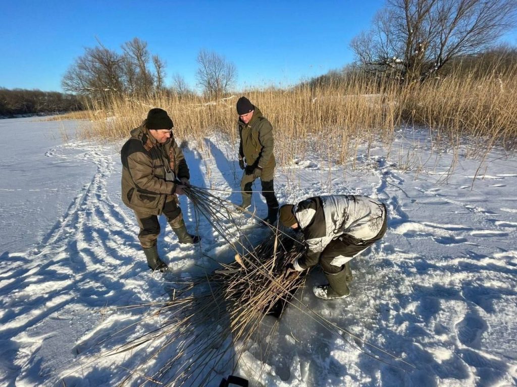 Волгоградская область проводит аэрацию водоёмов для спасения рыбы