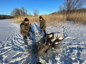 Волгоградская область проводит аэрацию водоёмов для спасения рыбы