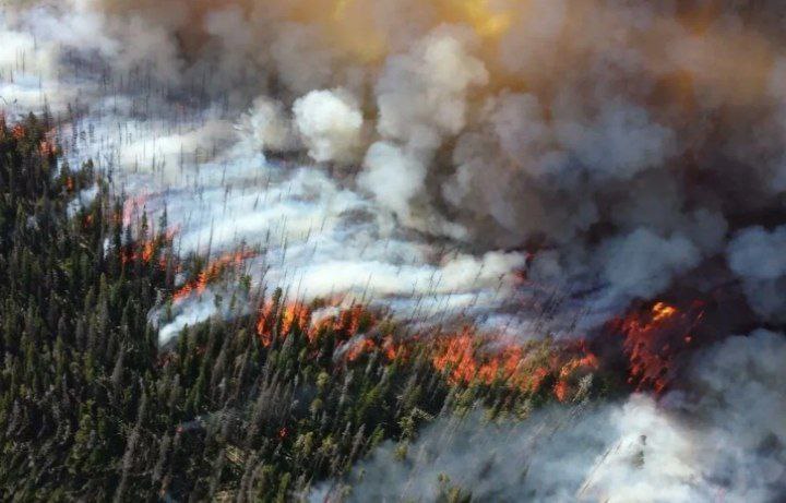 Волгоградская область усиливает контроль за лесными пожарами с помощью дронов
